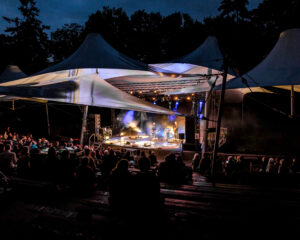 Festival Logo Roosje Live in het Park