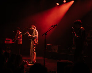 Festival Logo The Vices