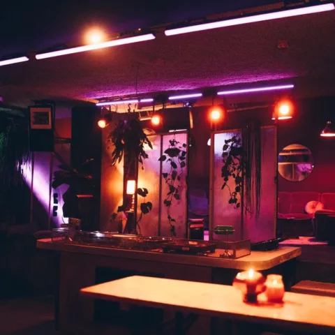  Via Electronica
