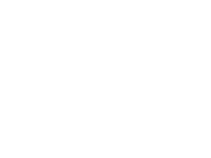 Festival Logo De Roos van Nijmegen