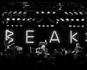 Festival Logo BEAK>