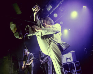 Festival Logo Pure Adult + Cassels