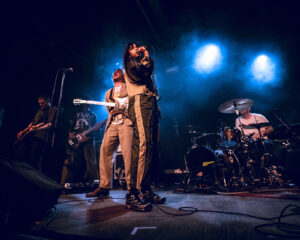 Festival Logo Pure Adult + Cassels