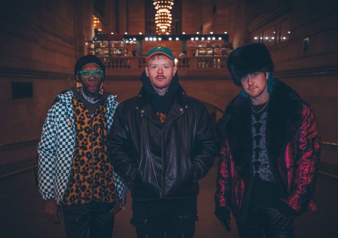 Afbeelding voor Too Many Zooz